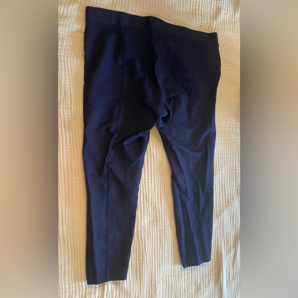 J.Crew Maternity Pixie Pant Bundle- Size 16 Short… - image 3